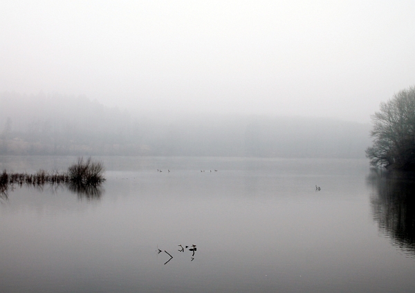 Ada Klar - Landschaft im Nebel